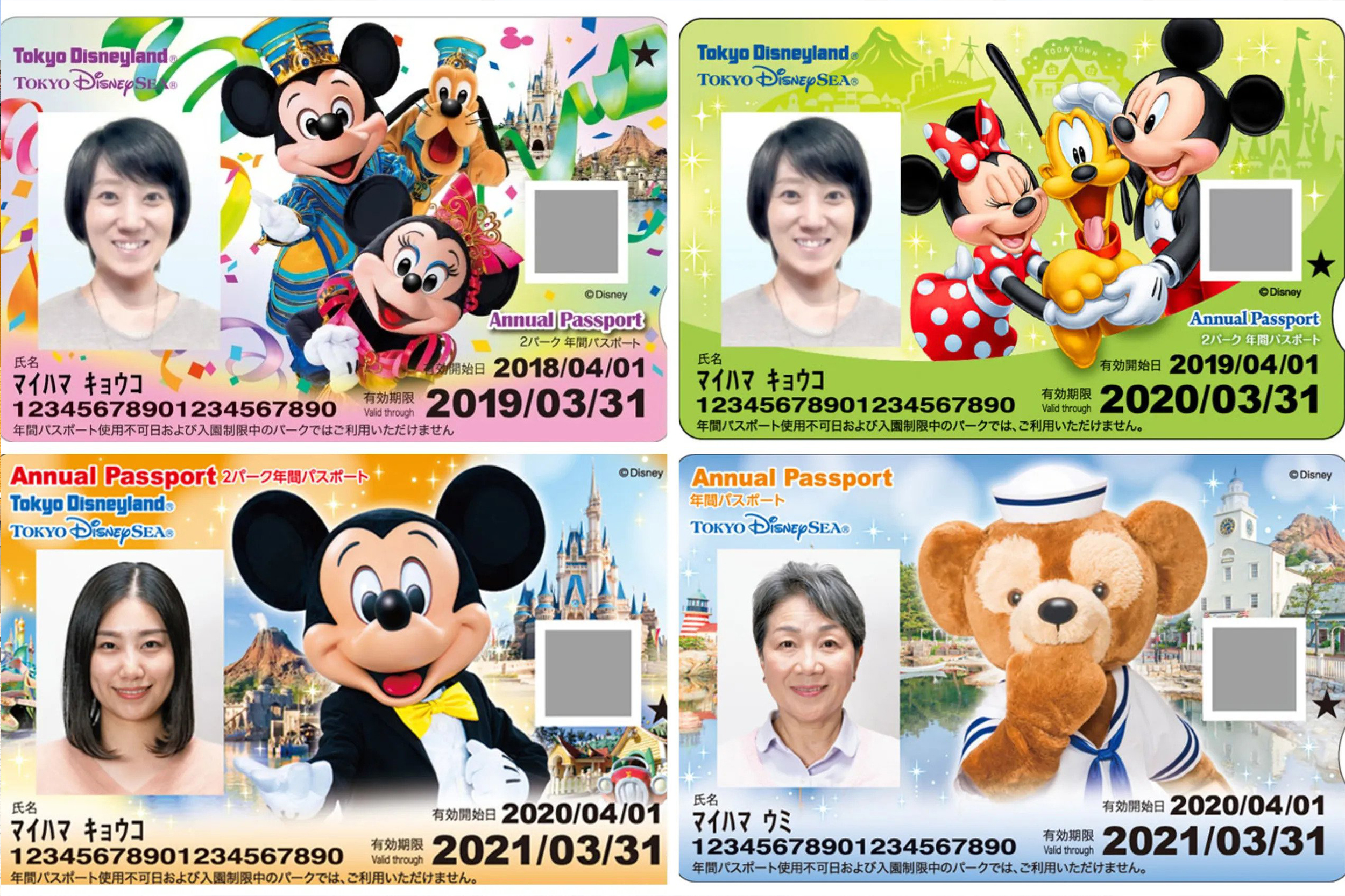 Tokyo Disneyland Annual Passholders