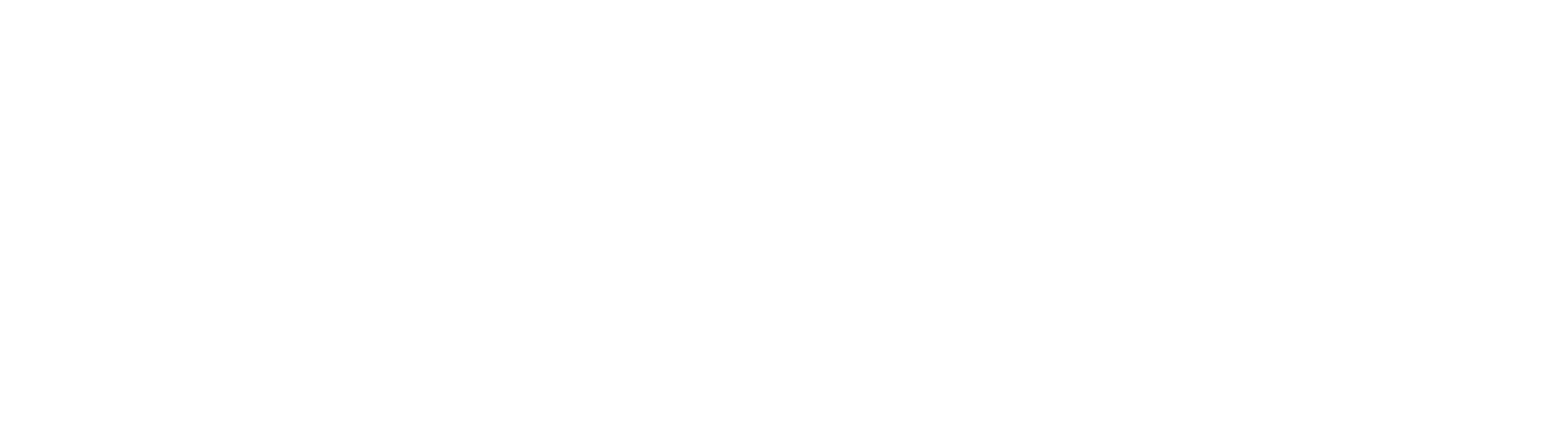 Fly Mickey AmbassadEAR Logo